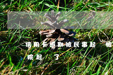 信用卡逾期被民事起訴被判決(欠信用卡被法院起訴了)