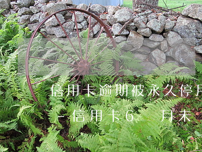 信用卡逾期被永久停用如果有年費會催收嗎-信用卡6個月未發(fā)生交易暫停交易還需要交年費嗎?