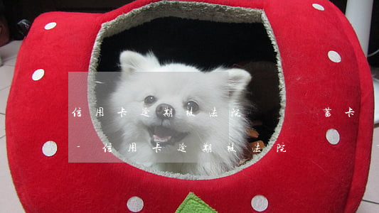信用卡逾期被法院凍結儲蓄卡凍結多少時間-信用卡逾期被法院凍結儲蓄卡凍結多少時間能解凍