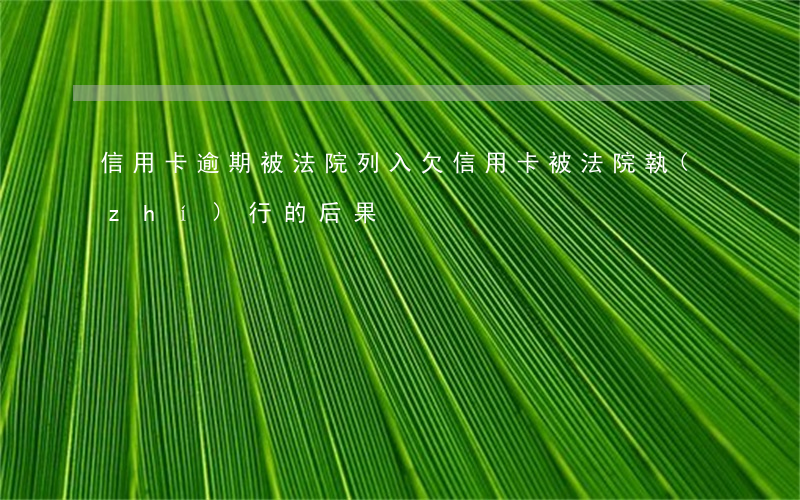 信用卡逾期被法院列入 欠信用卡被法院執(zhí)行的后果