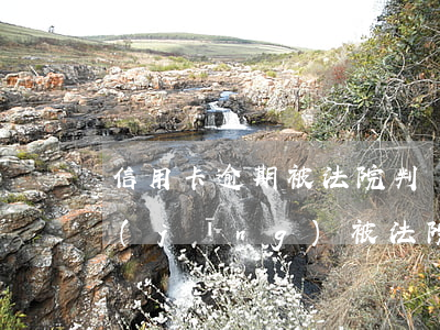 信用卡逾期被法院判決了(信用卡逾期了已經(jīng)被法院判決了怎么辦)