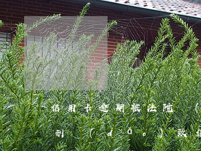 信用卡逾期被法院執(zhí)行案例(被判刑導(dǎo)致信用卡逾期)