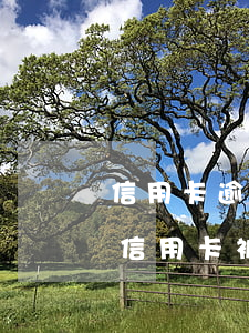 信用卡逾期被法院執(zhí)行的案例 欠信用卡被法院強制執(zhí)行