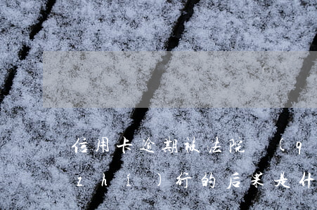 信用卡逾期被法院強(qiáng)制執(zhí)行的后果是什么(信用卡逾期被法院強(qiáng)制執(zhí)行的后果是什么)