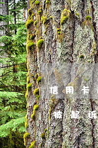 信用卡逾期被法院强制执行的后果(欠信用卡被起诉后一定会强制执行吗)