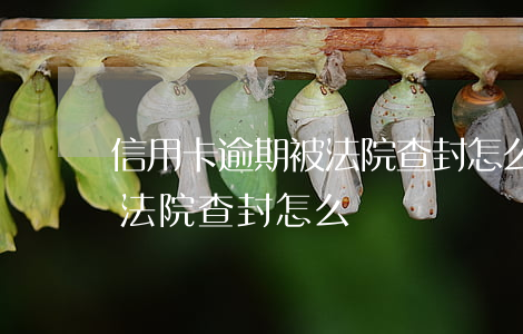 信用卡逾期被法院查封怎么辦(信用卡逾期被法院查封怎么辦)