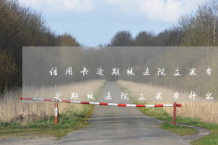 信用卡逾期被法院立案有什么影響-信用卡逾期被法院立案有什么影響嗎