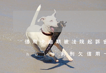 信用卡逾期被法院起訴會(huì)不會(huì)判刑(欠信用卡逾期起訴會(huì)拘留嗎)
