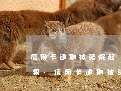信用卡逾期被法院起訴會(huì)怎樣后果-信用卡逾期被法院起訴會(huì)怎樣后果呢