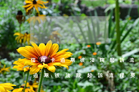 信用卡逾期被法院起訴流程要多久-信用卡逾期被法院起訴流程要多久才能開庭