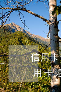 信用卡逾期被注銷(xiāo)嗎(逾期的信用卡還清注銷(xiāo)后不良記錄會(huì)消除嗎)