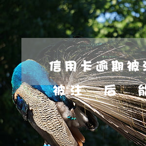 信用卡逾期被注銷后還能消除嗎(信用卡逾期被注銷后還能消除嗎)