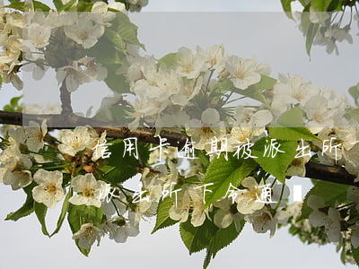 信用卡逾期被派出所下令通緝(信用卡逾期被派出所下令通緝)
