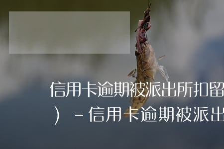 信用卡逾期被派出所扣留24小時(shí)-信用卡逾期被派出所扣留24小時(shí)怎么辦