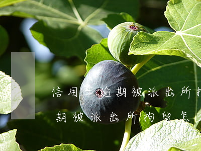 信用卡逾期被派出所拘留怎么辦呢（信用卡逾期被派出所拘留怎么辦）