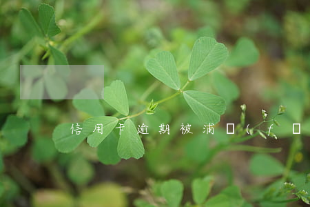信用卡逾期被浦發(fā)起訴