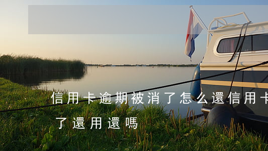 信用卡逾期被消了怎么還(信用卡逾期被銷卡了,還用還嗎)