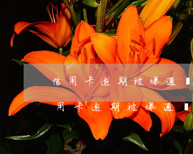 信用卡逾期被爆通訊錄打什么電話投訴-信用卡逾期被爆通訊錄打什么電話投訴有效