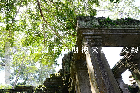 信用卡逾期被父親抓 父親惡意欠信用卡款不還