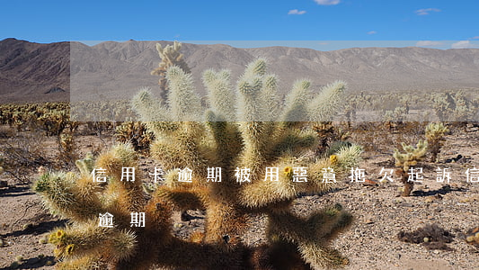 信用卡逾期被用惡意拖欠起訴(信用卡非惡意逾期)
