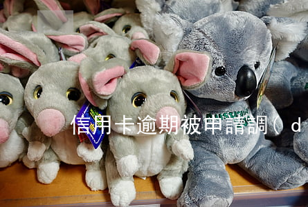 信用卡逾期被申請調(diào)查令