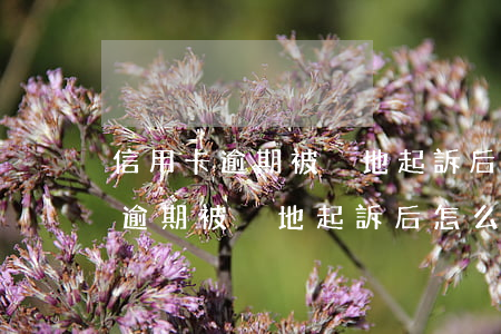 信用卡逾期被異地起訴后怎么處罰-信用卡逾期被異地起訴后怎么處罰的