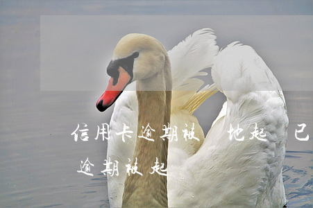信用卡逾期被異地起訴已判決(因服刑信用卡逾期被起訴)