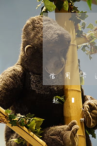 信用卡逾期被異地起訴怎么辦(信用卡異地被起訴怎么處理)