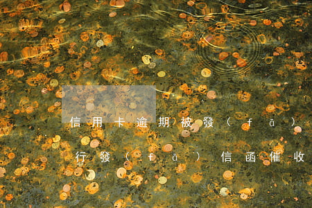 信用卡逾期被發(fā)催收函什么后果(銀行發(fā)信函催收信用卡)