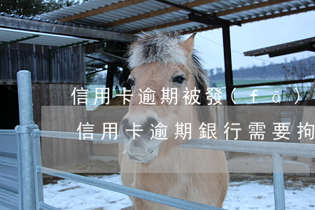 信用卡逾期被發(fā)公安拘留函(拘留后信用卡逾期銀行需要拘留證)