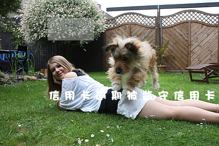 信用卡逾期被监守(信用卡逾期被监守怎么办)