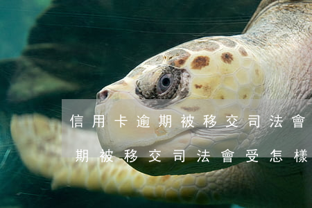 信用卡逾期被移交司法會受怎樣-信用卡逾期被移交司法會受怎樣處罰