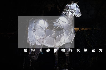 信用卡逾期被移交第三方(逾期交給第三方)