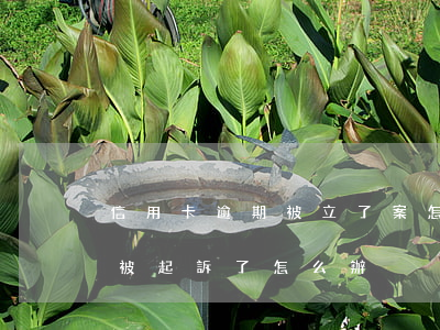 信用卡逾期被立了案怎么辦(信用卡逾期了要被起訴了怎么辦)