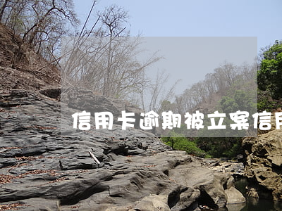 信用卡逾期被立案(信用卡逾期被抓)