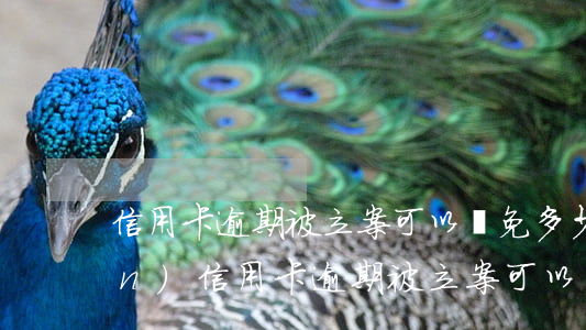 信用卡逾期被立案可以減免多少錢(qián)(信用卡逾期被立案可以減免多少錢(qián))