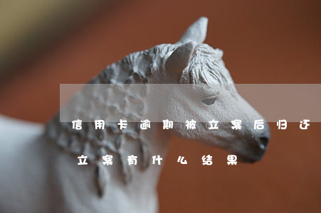 信用卡逾期被立案后归还(信用卡逾期还不上立案有什么结果)