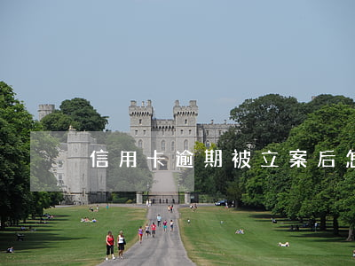信用卡逾期被立案后怎么解決