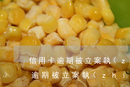 信用卡逾期被立案執(zhí)行-信用卡逾期被立案執(zhí)行