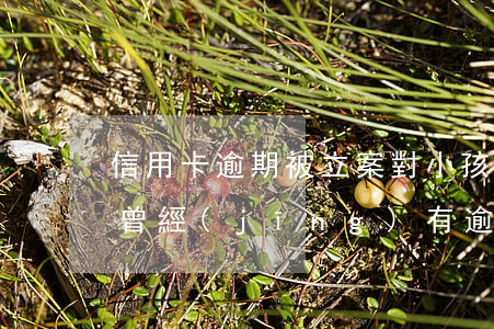 信用卡逾期被立案對小孩有影響嗎-信用卡 曾經(jīng)有逾期 影響