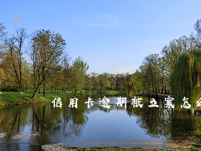 信用卡逾期被立案怎么抓人(信用卡 被抓)