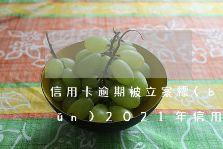 信用卡逾期被立案標(biāo)準(zhǔn)(2021年信用卡逾期被起訴怎么辦)