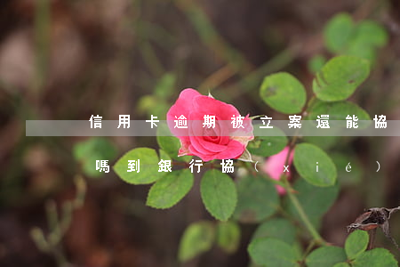 信用卡逾期被立案還能協(xié)商還款嗎 到銀行協(xié)商處理信用卡逾期還款銀行有權(quán)拘留?