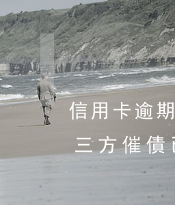 信用卡逾期被第三方催款并起訴(貸款逾期第三方催債已告知起訴怎么辦)