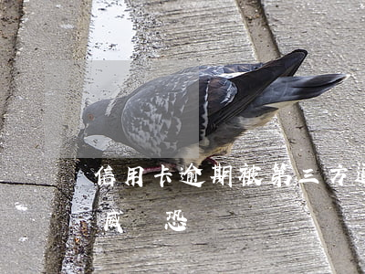 信用卡逾期被第三方逼收-被信用卡催收部威脅恐嚇
