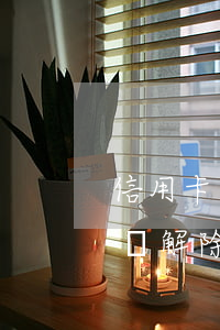 信用卡逾期被系統(tǒng)黑名單怎么辦解除（信用卡逾期被系統(tǒng)黑名單怎么辦）