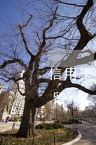 信用卡逾期被約到銀行說(shuō)要拘留