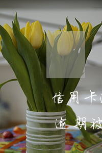 信用卡逾期被納入失信人怎么處理-信用卡逾期被納入失信人怎么處理呢