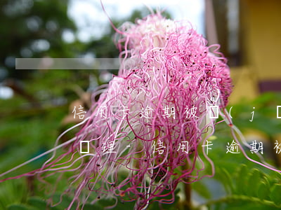 信用卡逾期被經(jīng)偵傳喚了怎么處理-信用卡逾期被經(jīng)偵傳喚了怎么處理呢