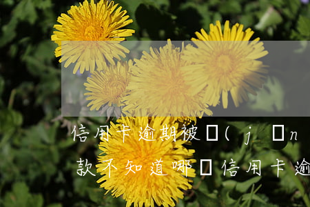 信用卡逾期被經(jīng)偵傳喚還清欠款(不知道哪張信用卡逾期了)